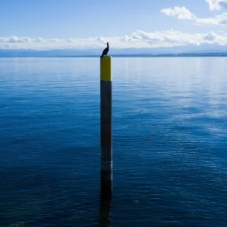 30m Vom Bodensee * Meersburg